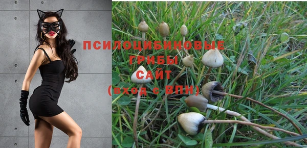 ГАЛЛЮЦИНОГЕННЫЕ ГРИБЫ Абдулино