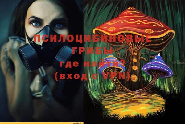 героин Абаза