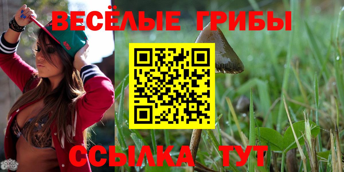 Искитим  Псилоцибиновые грибы GOLDEN TEACHER  наркотики  Вход с VPN 